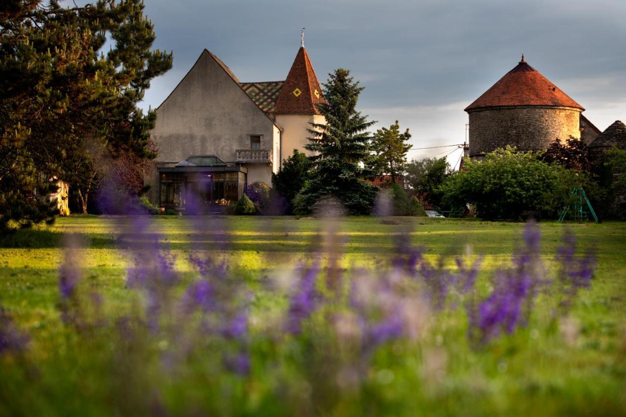 L'Hote Antique - Maison D'Hote- 4 Suites Avec Cuisine Pichanges エクステリア 写真